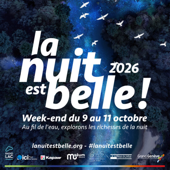 La nuit est belle !