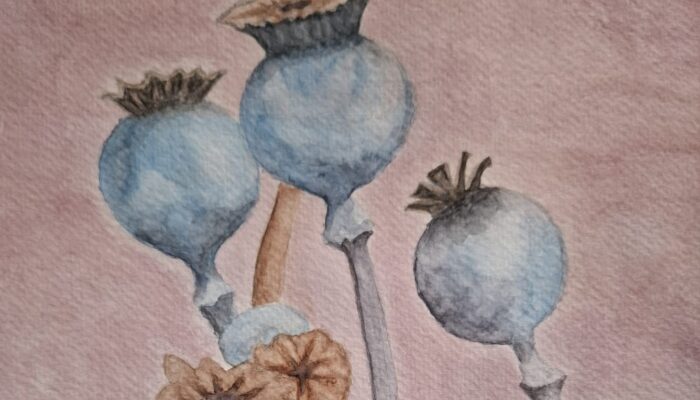 Exposition – Aquarelles & Epigrammes